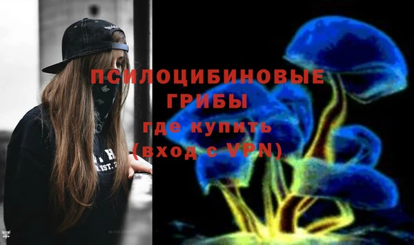 меф Алексин