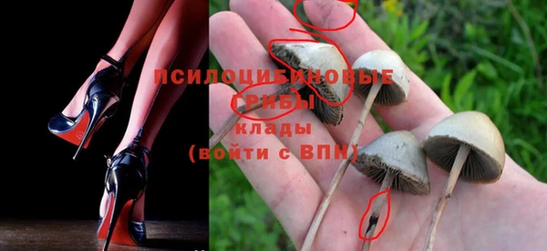 а пвп мука Новозыбков