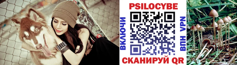 Псилоцибиновые грибы прущие грибы Котельники