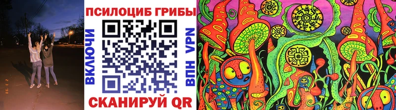 Псилоцибиновые грибы MAGIC MUSHROOMS  где продают   Котельники 