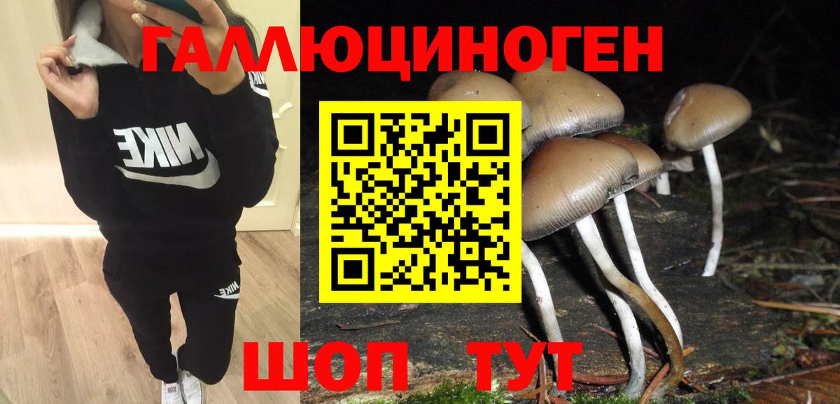 Котельники  Псилоцибиновые грибы Psilocybine cubensis  Псилоцибиновые грибы мицелий  Вход с VPN 